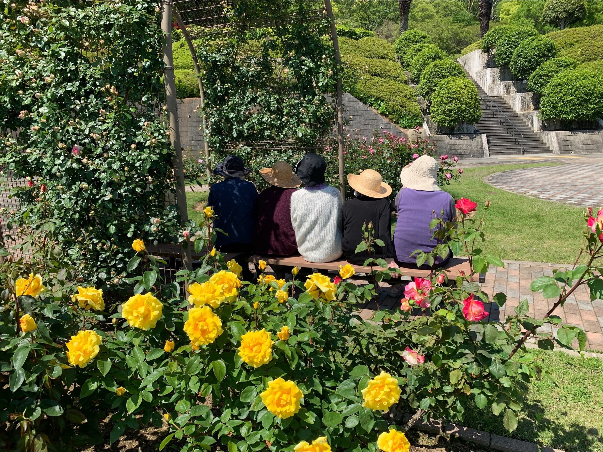 認知症デイケアえいわだより　その1